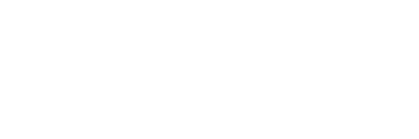 Schmalz Logo